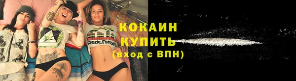 Альфа ПВП Каменка