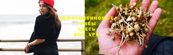 Альфа ПВП Каменка