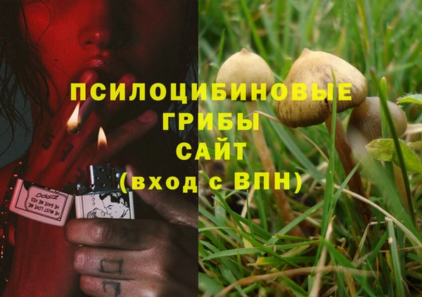 Альфа ПВП Каменка