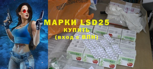 PSILOCYBIN Каменск-Шахтинский
