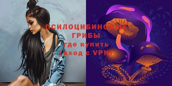 Альфа ПВП Каменка