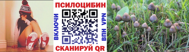 Псилоцибиновые грибы Psilocybine cubensis  Купить  Горнозаводск 